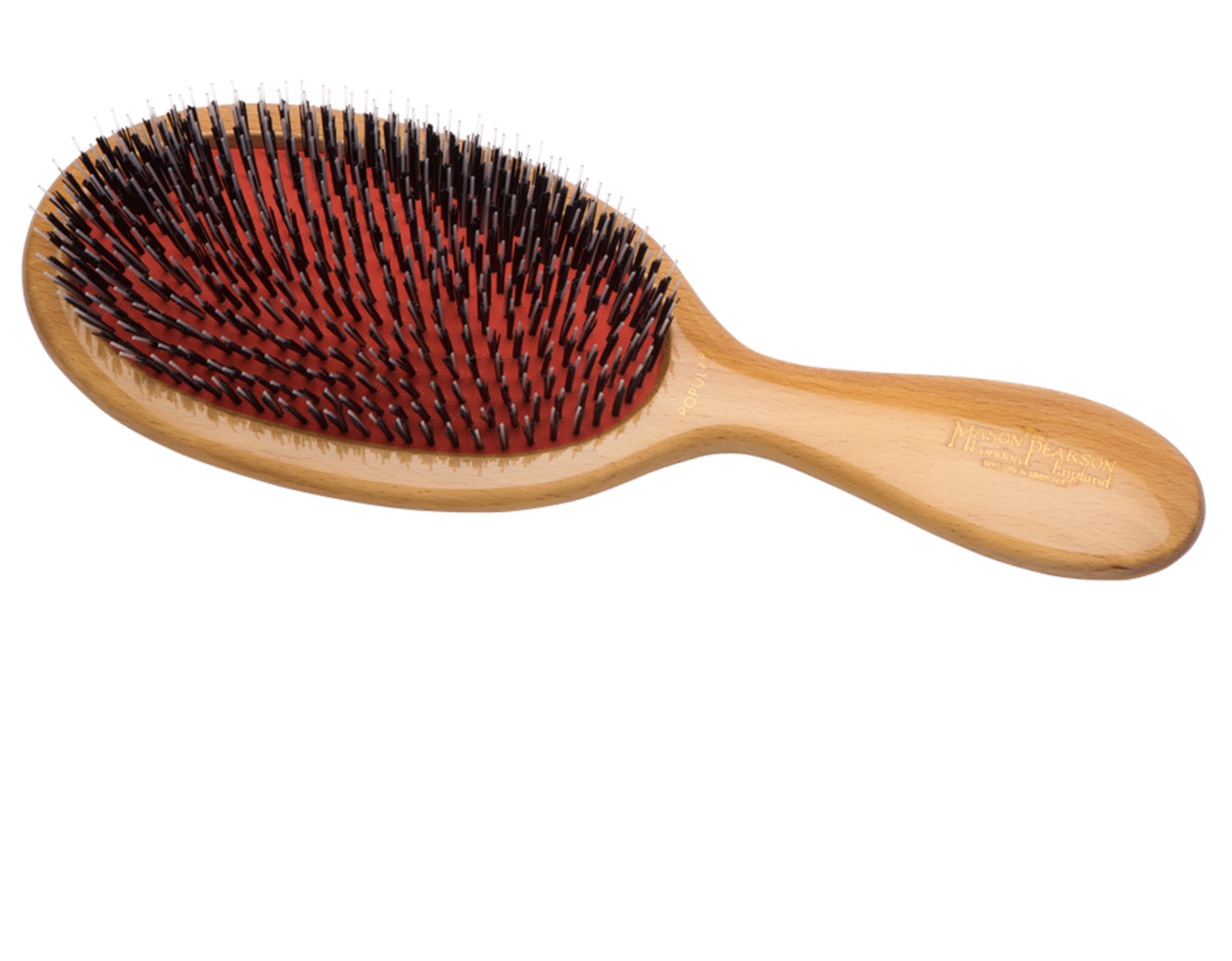 BN1W – Setole/Nylon in legno popolari